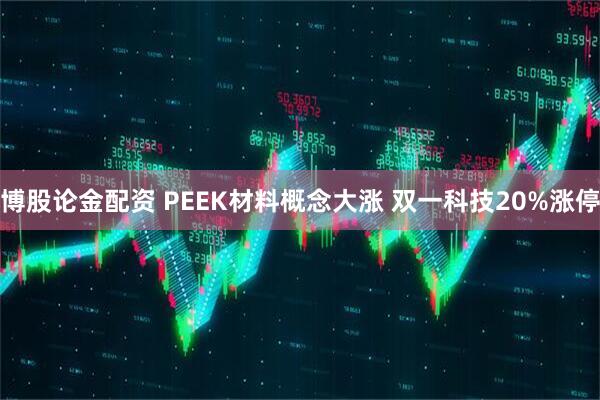博股论金配资 PEEK材料概念大涨 双一科技20%涨停