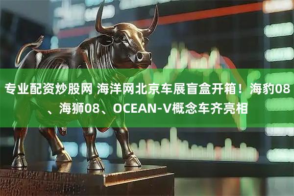 专业配资炒股网 海洋网北京车展盲盒开箱！海豹08、海狮08、OCEAN-V概念车齐亮相
